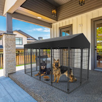 Dog sales pen wayfair